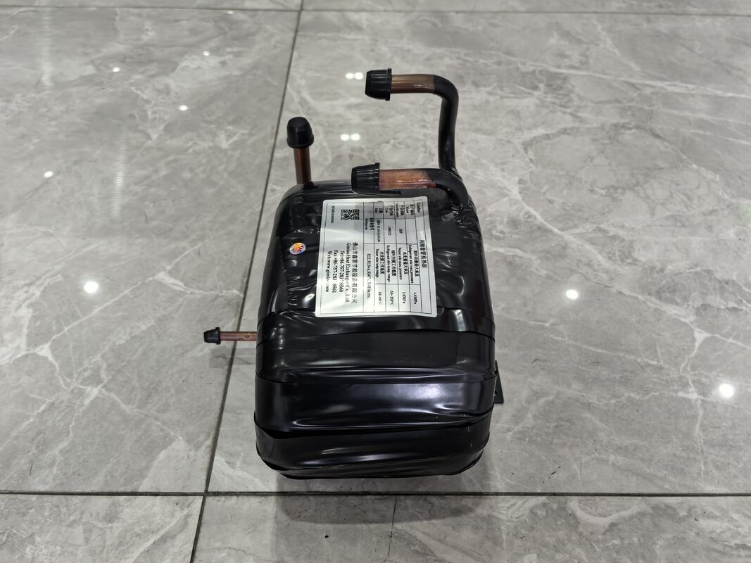 Échangeur de chaleur d'eau chaude de 5 à 300 kg de capacité fournissant des solutions durables et de transfert de chaleur